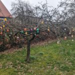 PXL_20230408_144533279