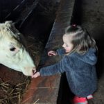 PXL_20230408_145102137