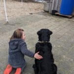 PXL_20230408_153315537