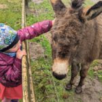 PXL_20230412_120835400