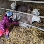 PXL_20230412_121450544