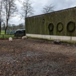 PXL_20230412_125038671