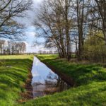 PXL_20230413_155807304