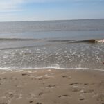 PXL_20240506_135644127