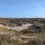 PXL_20241015_093424395