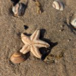 PXL_20241015_095757988