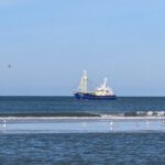 PXL_20241015_100854677