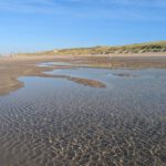 PXL_20241015_102048914