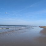 PXL_20241015_132653737