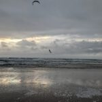 PXL_20250804_183656248