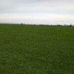 PXL_20251003_090916770