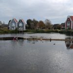 PXL_20251003_112604513