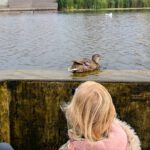 PXL_20251003_112937876.NIGHT