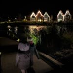 PXL_20251003_191252936