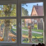 PXL_20251018_124552167