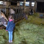 PXL_20251018_152012638