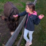 PXL_20251018_153759116