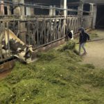 PXL_20251019_171135986