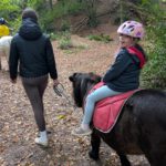 PXL_20251020_084023789