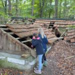 PXL_20251020_131117378