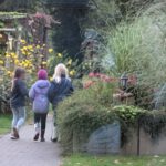 PXL_20251020_152430260