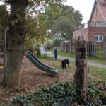 PXL_20251020_154141469