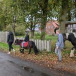 PXL_20251022_082436687