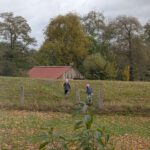 PXL_20251024_095932144