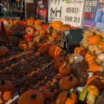 PXL_20251024_144728185