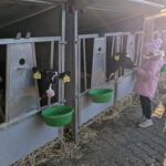 PXL_20251024_152117501